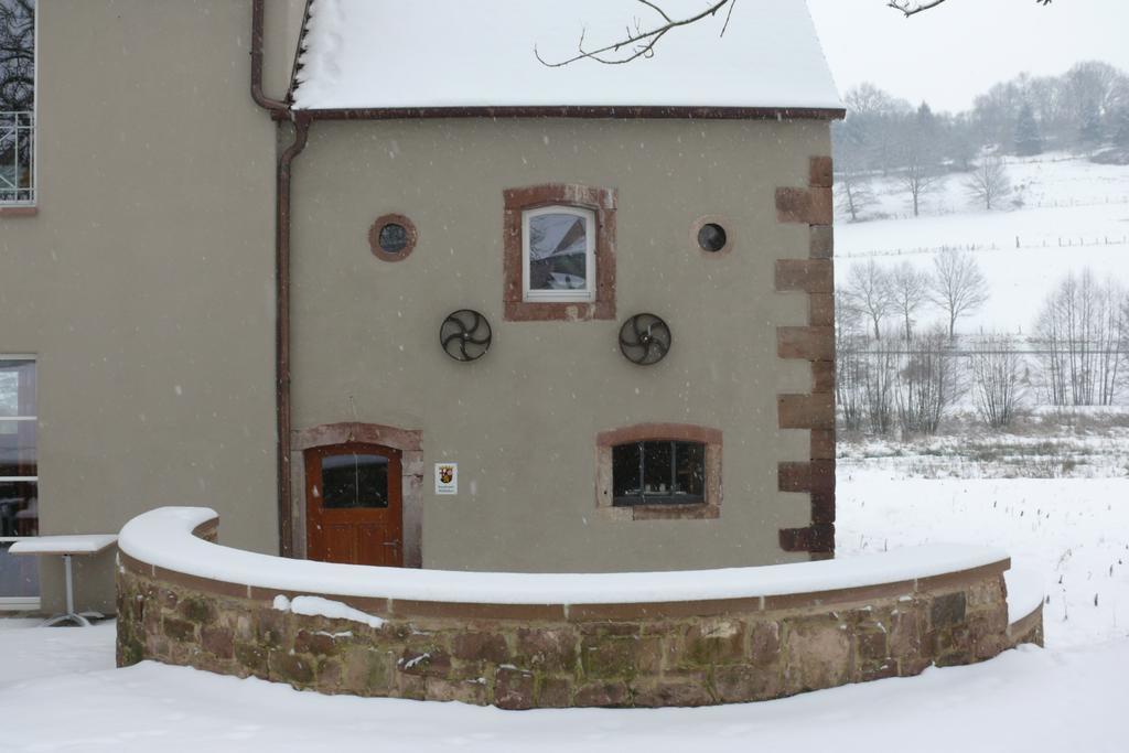 Landgrafen-Muehle Hotel Wallhalben Exterior photo